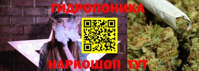 2c-b Северобайкальск